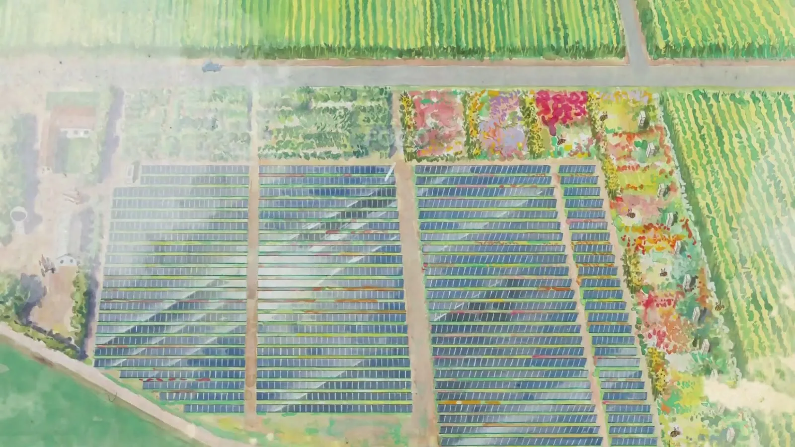 Watercolor illustration of solar rows between crop fields at Jack's Solar Garden in Longmont, from the campaign film